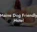 Maine Dog Friendly Hotel