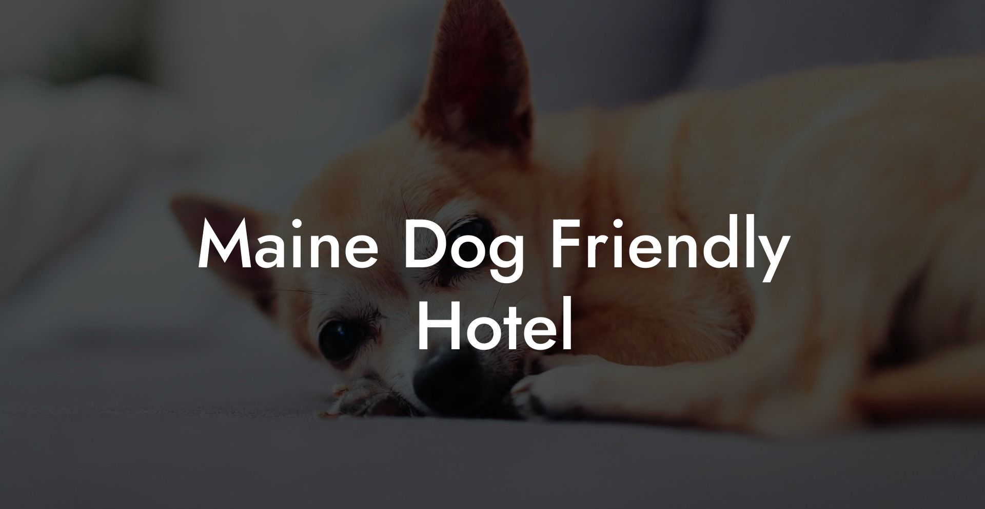 Maine Dog Friendly Hotel