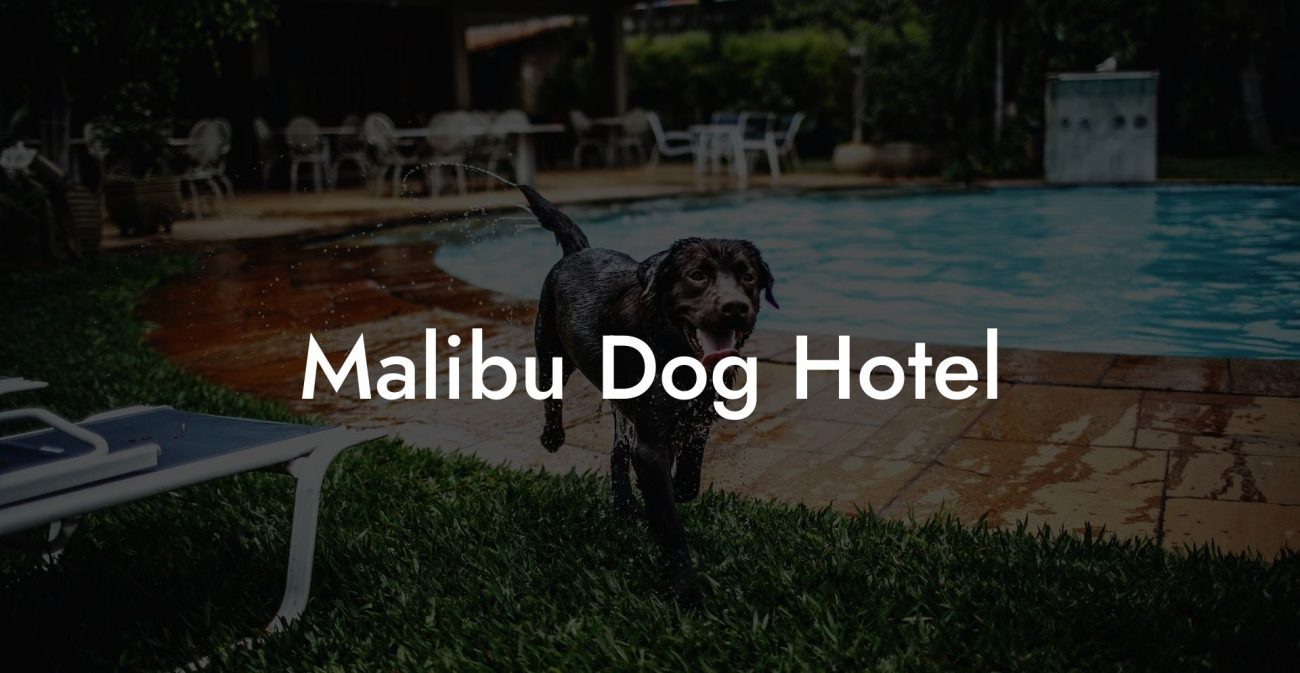 Malibu Dog Hotel