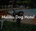 Malibu Dog Hotel