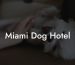 Miami Dog Hotel
