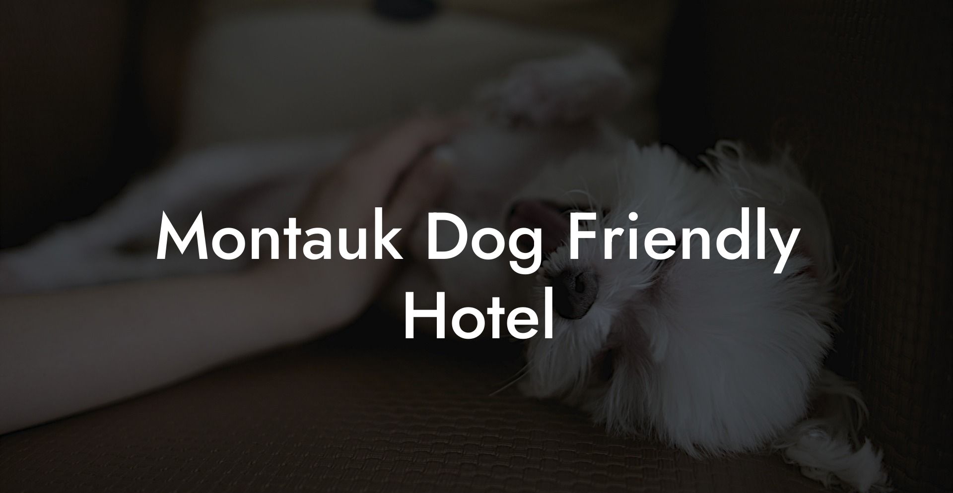 Montauk Dog Friendly Hotel