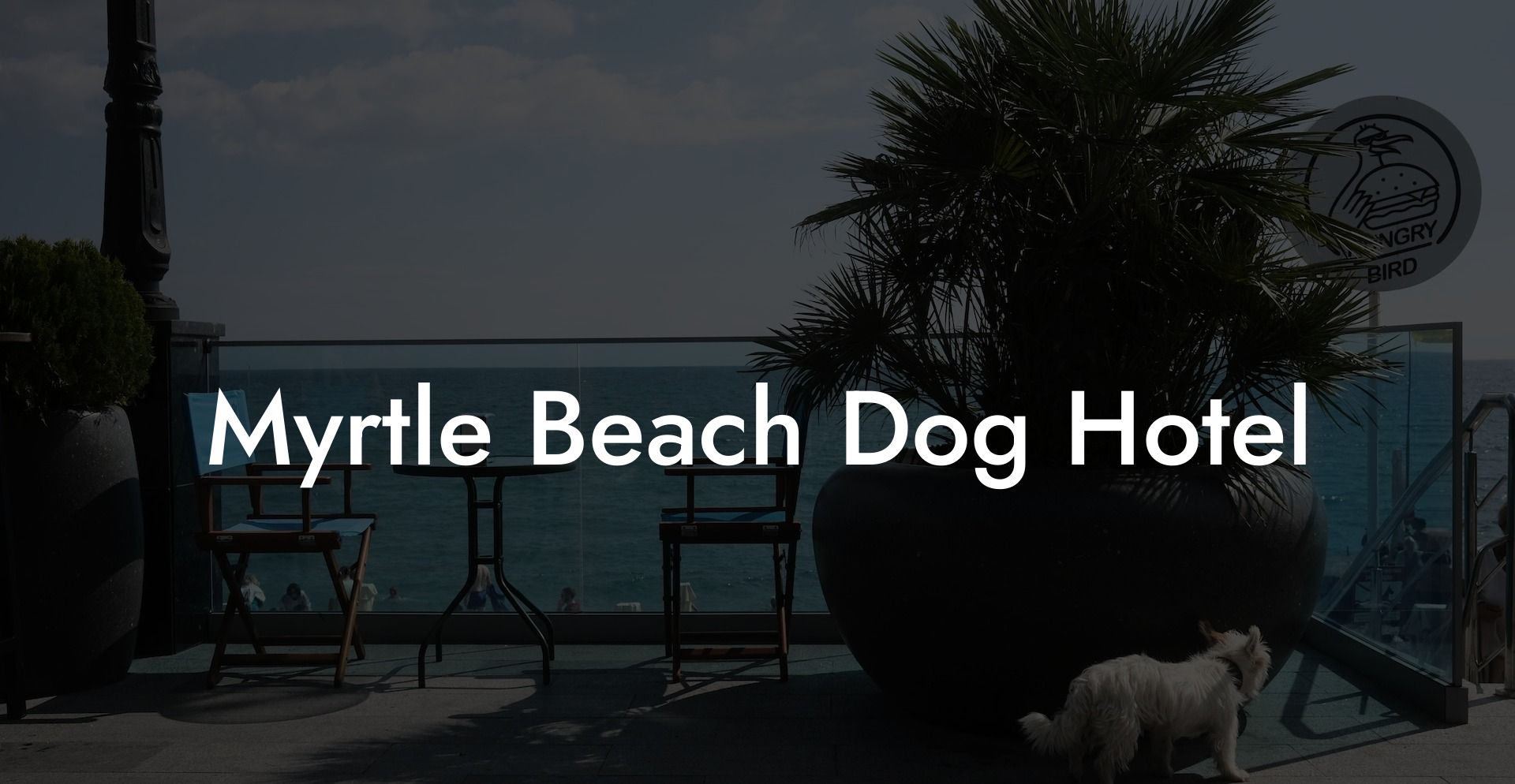 Myrtle Beach Dog Hotel