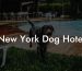 New York Dog Hotel