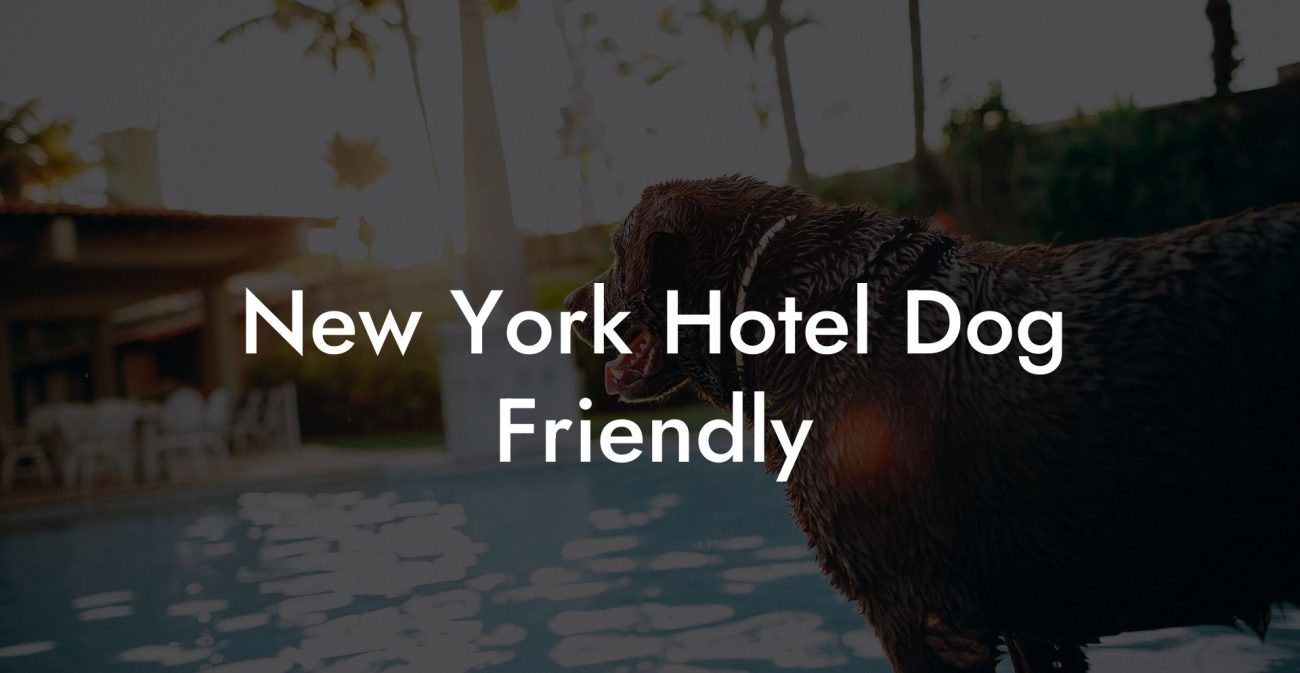 New York Hotel Dog Friendly