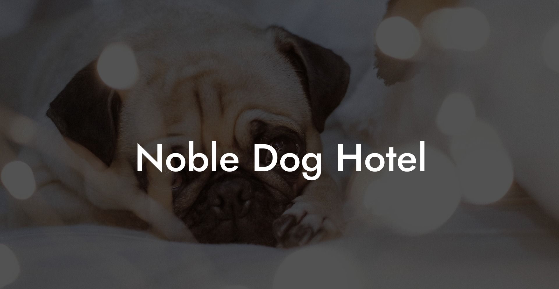 Noble Dog Hotel