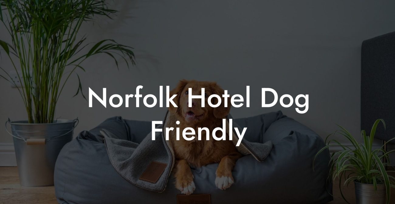Norfolk Hotel Dog Friendly
