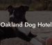 Oakland Dog Hotel