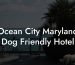 Ocean City Maryland Dog Friendly Hotel