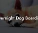 Overnight Dog Boarding
