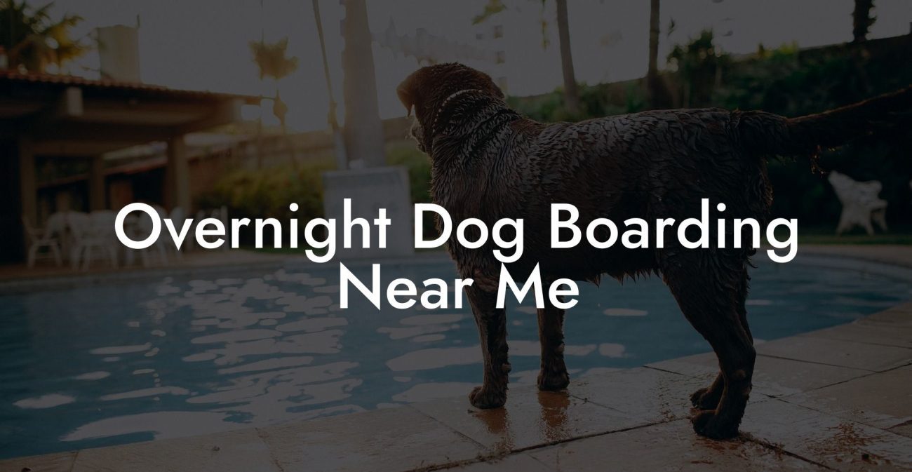 Overnight Dog Boarding Near Me