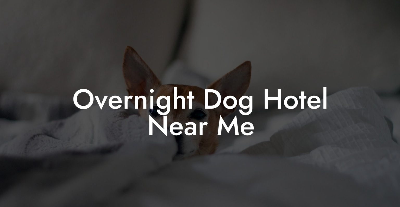 Overnight Dog Hotel Near Me Dog Hotels