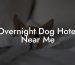 Overnight Dog Hotel Near Me
