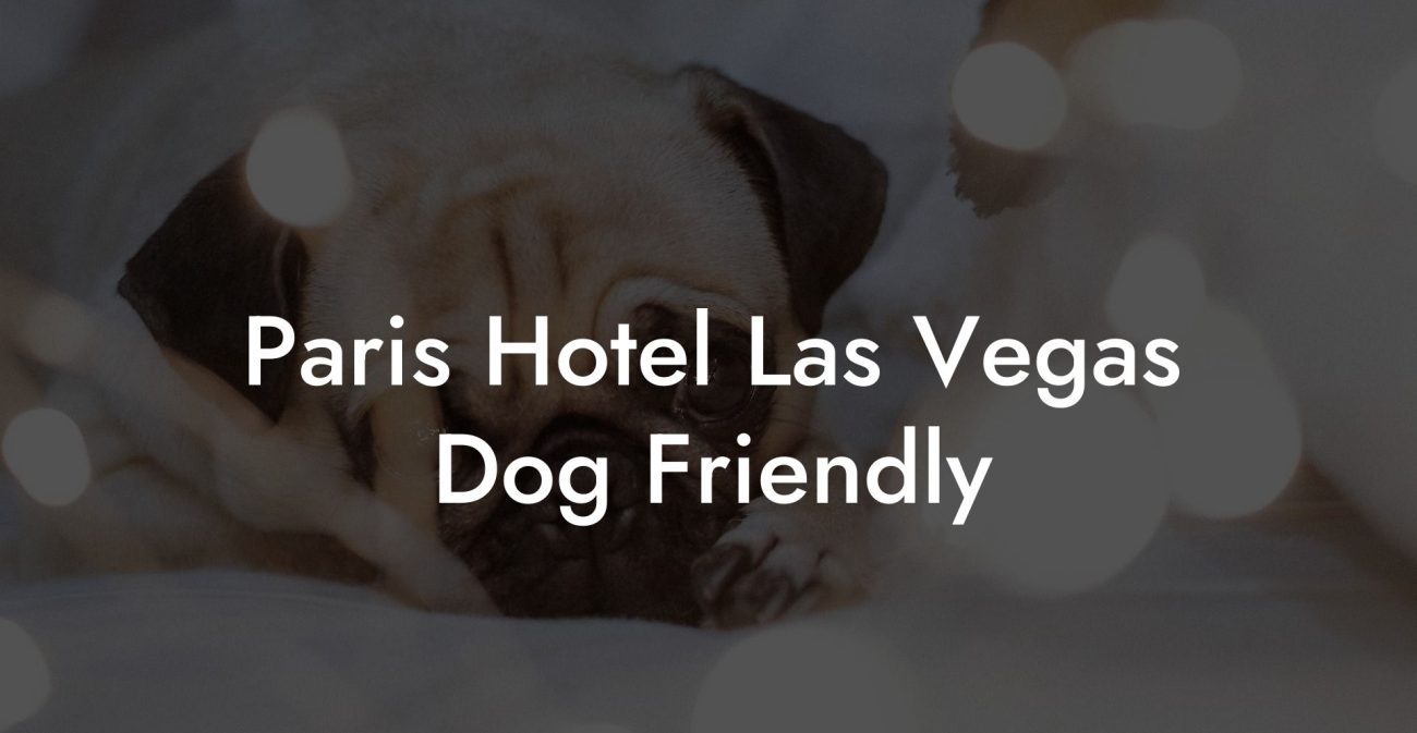 Paris Hotel Las Vegas Dog Friendly