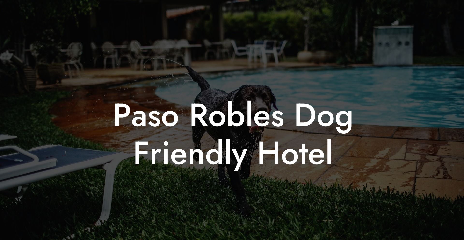 Paso Robles Dog Friendly Hotel