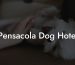 Pensacola Dog Hotel