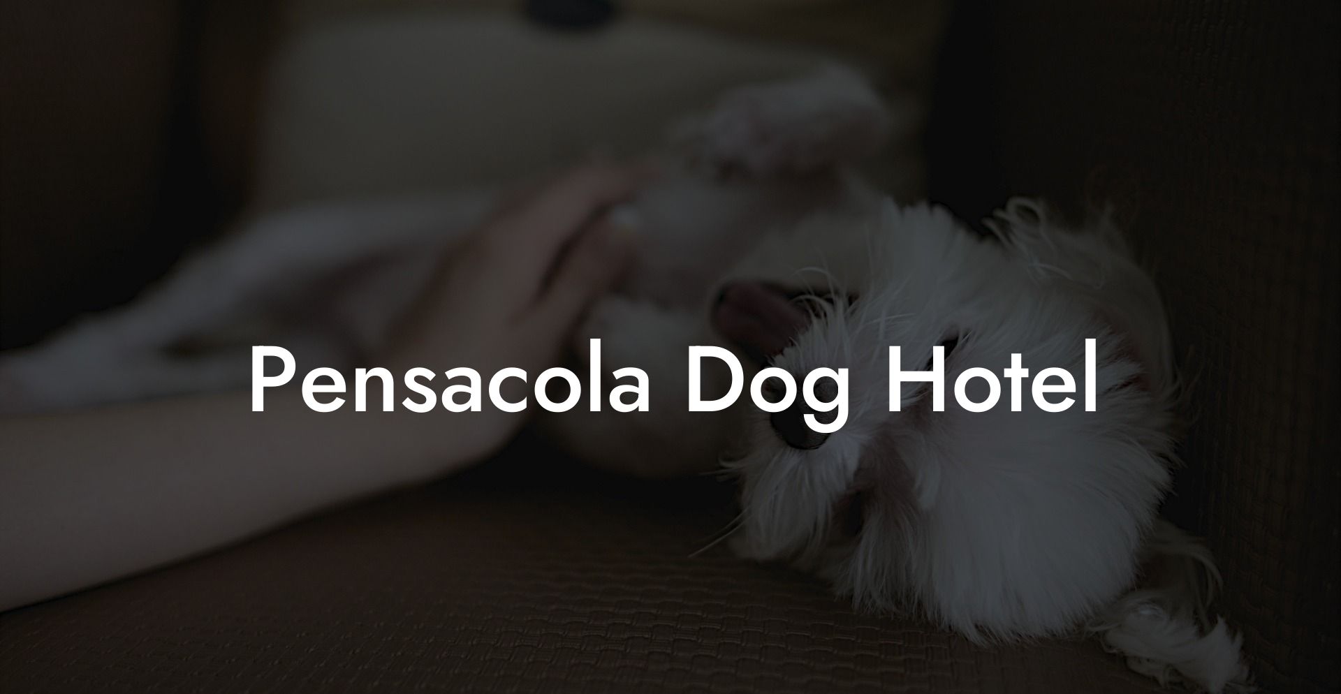 Pensacola Dog Hotel