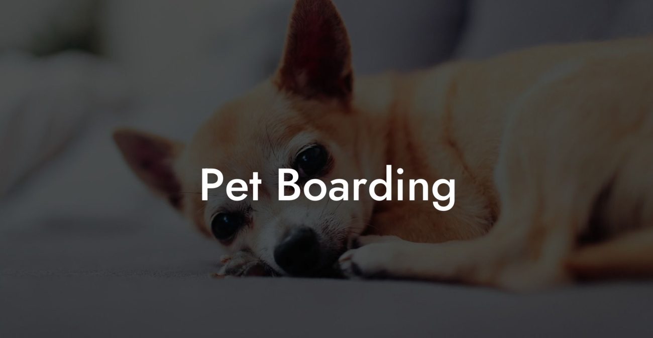 Pet Boarding