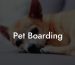 Pet Boarding
