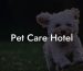 Pet Care Hotel