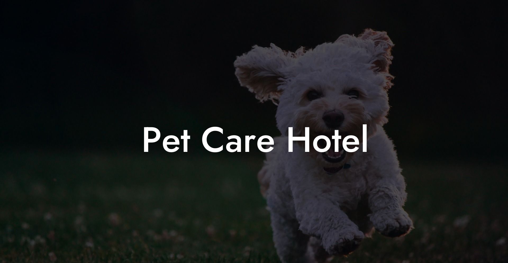 Pet Care Hotel