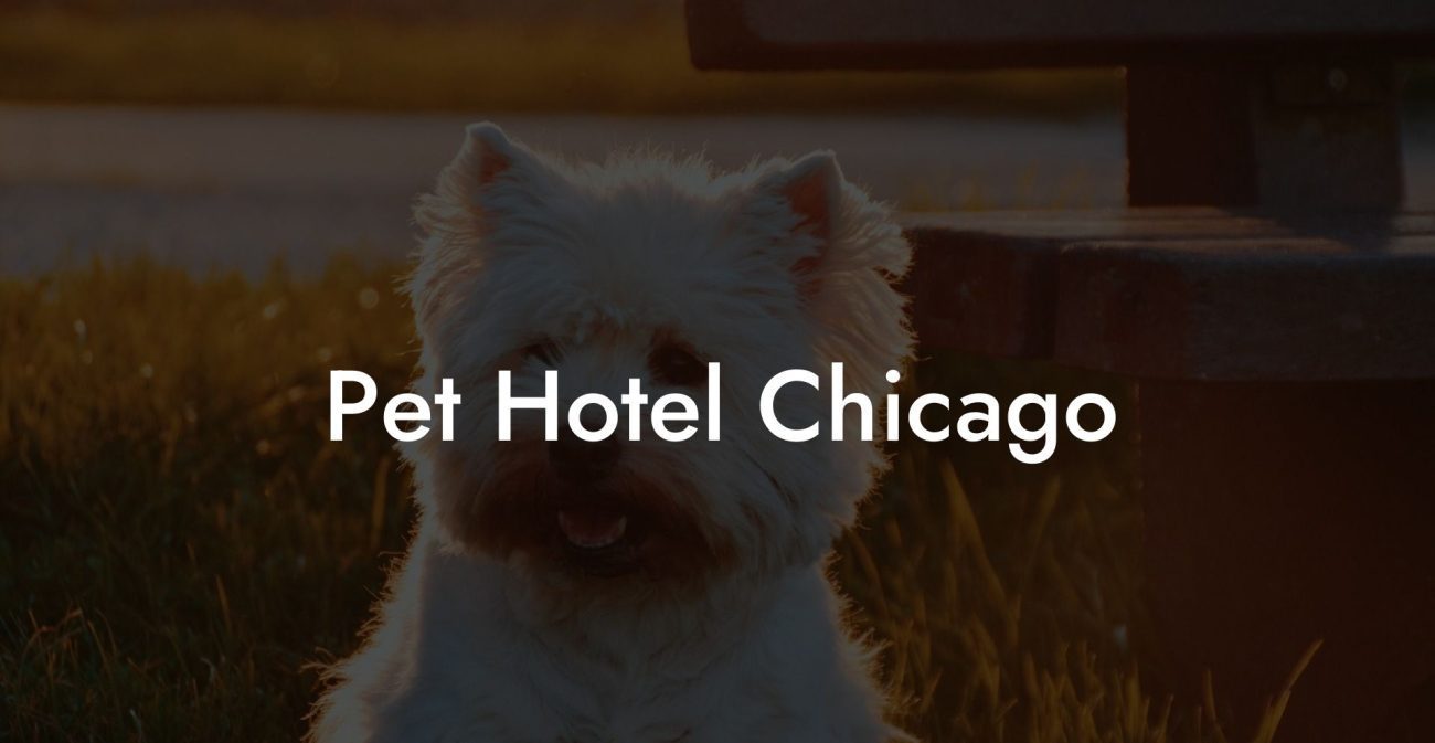 Pet Hotel Chicago