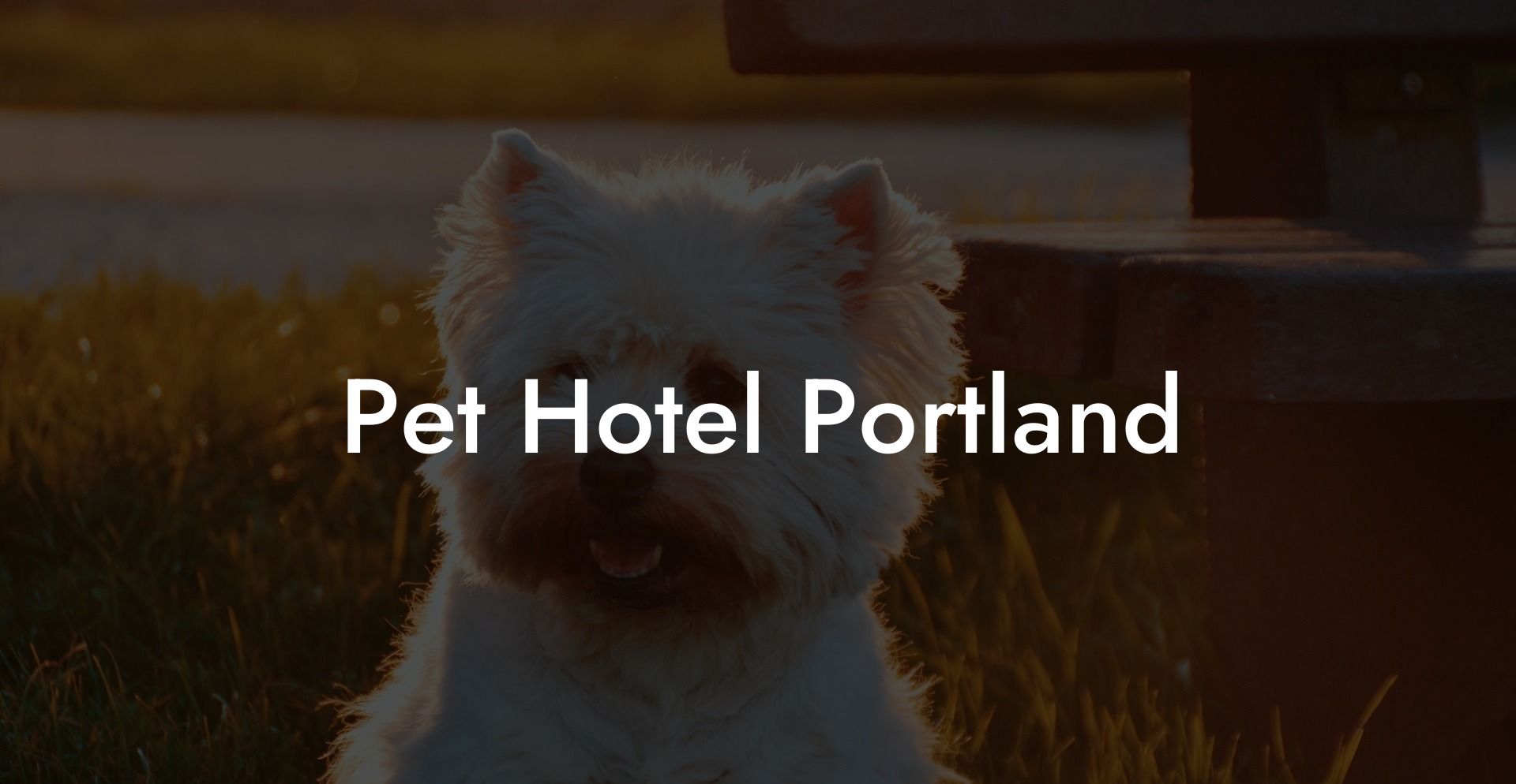 Pet Hotel Portland