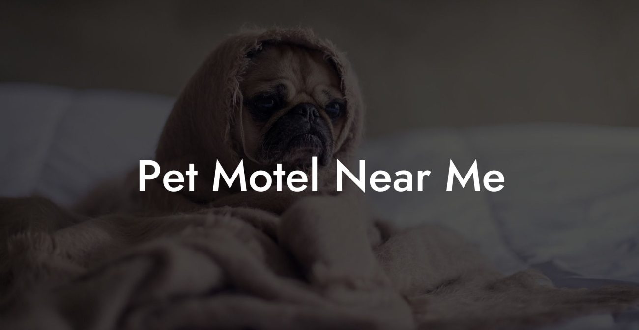 Pet Motel Near Me