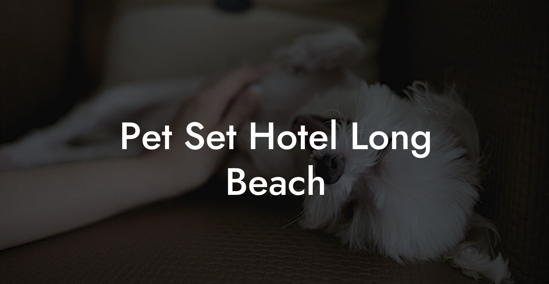Pet Set Hotel Long Beach
