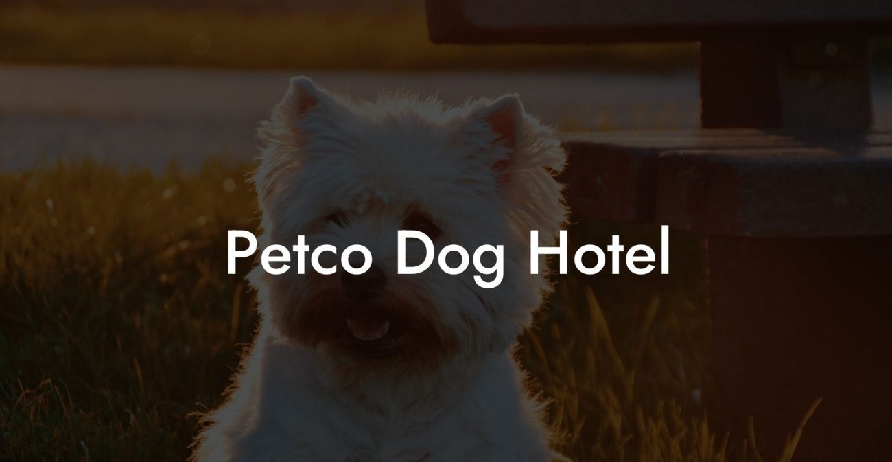 Petco Dog Hotel