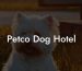 Petco Dog Hotel