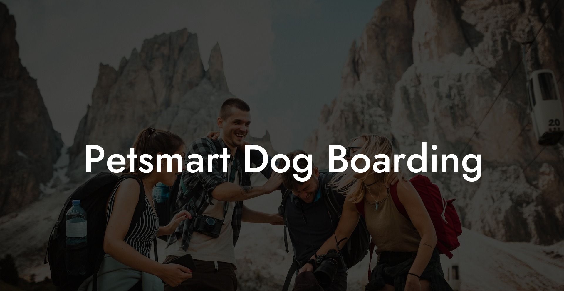 Petsmart Dog Boarding