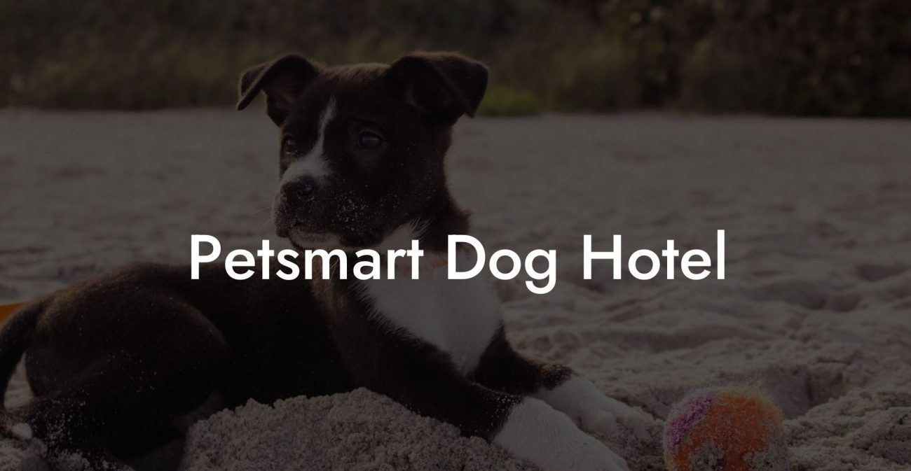 Petsmart Dog Hotel