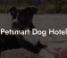 Petsmart Dog Hotel