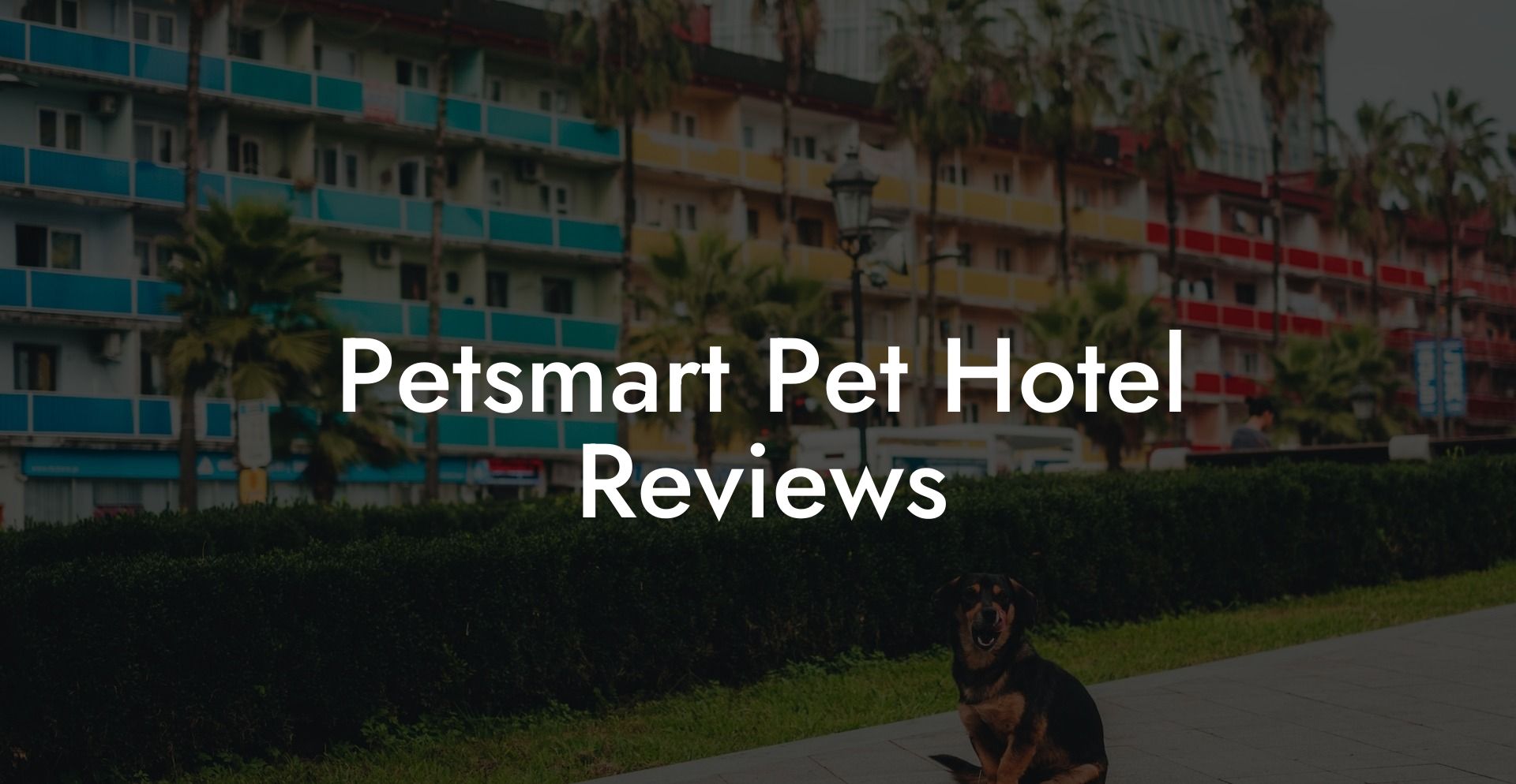Petsmart Pet Hotel Reviews