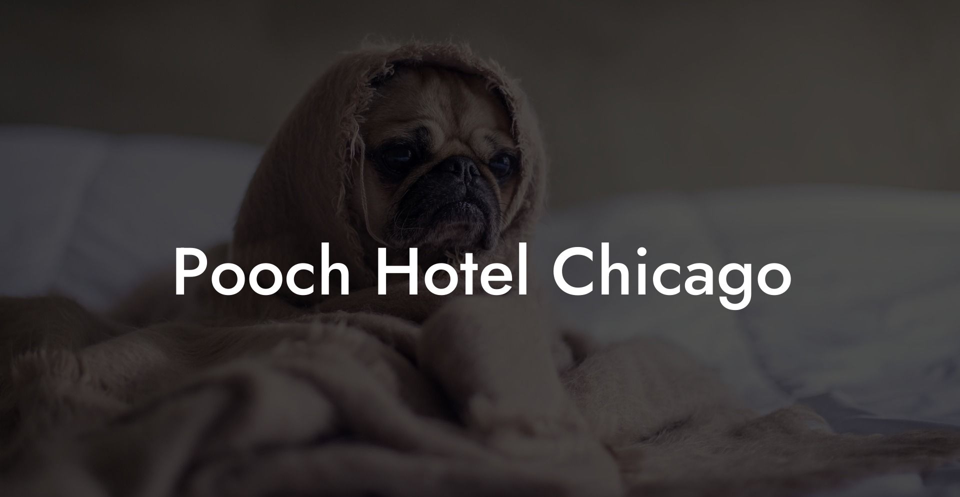 Pooch Hotel Chicago