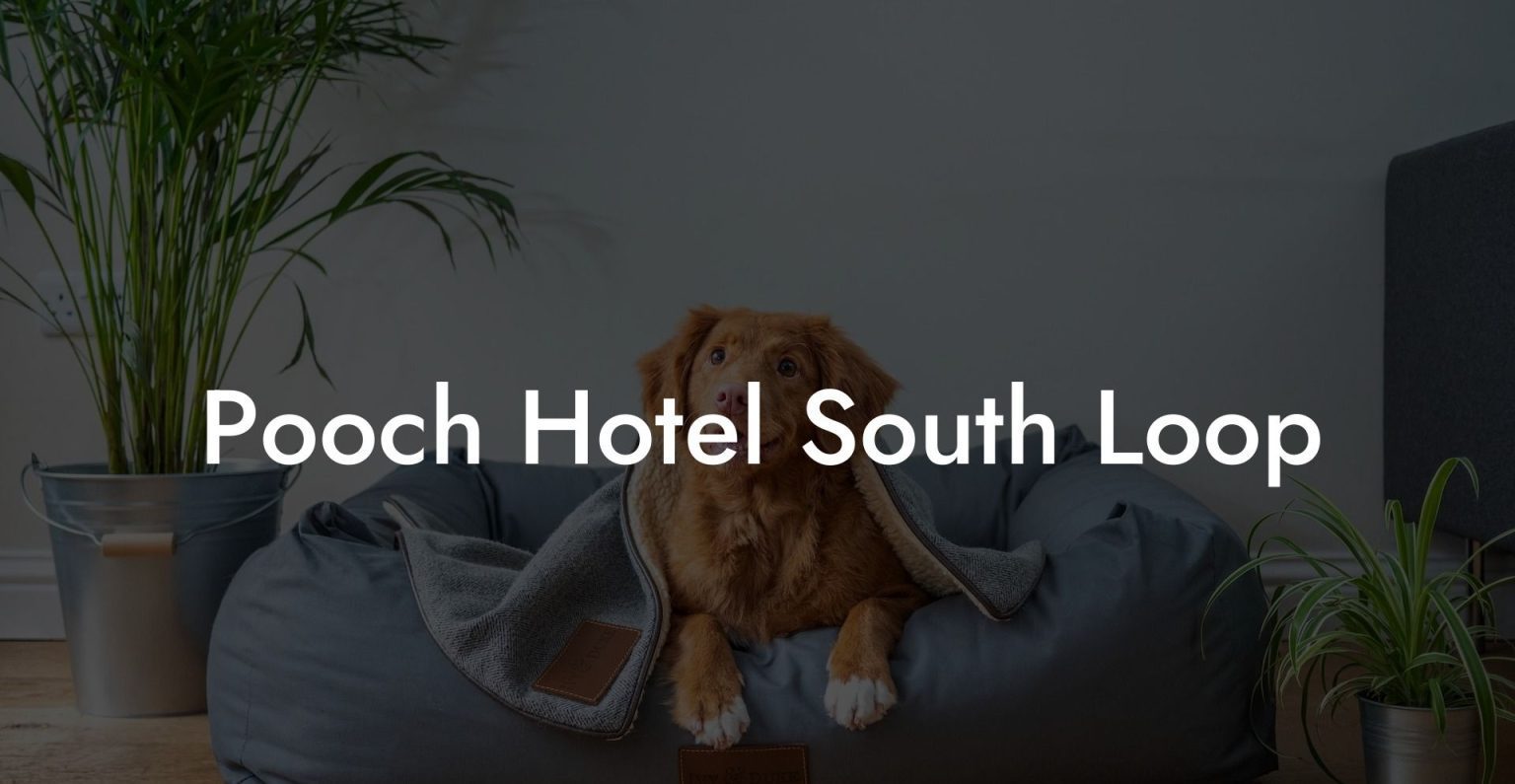 Pooch Hotel South Loop Dog Hotels