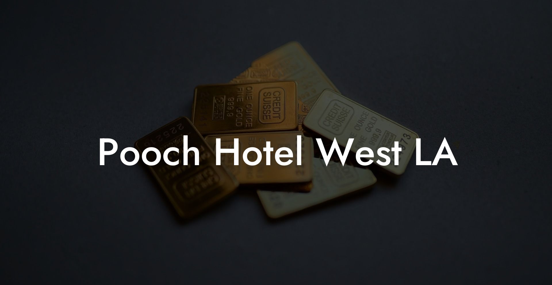 Pooch Hotel West LA