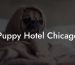 Puppy Hotel Chicago