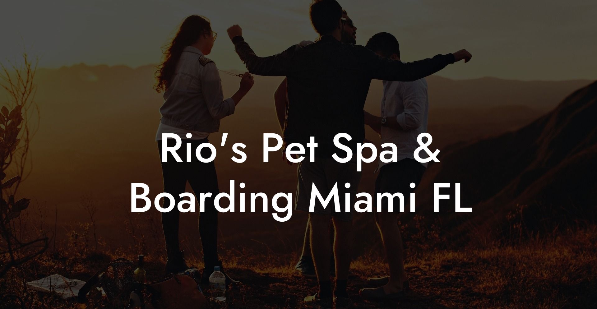 Rio's Pet Spa & Boarding Miami FL