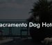 Sacramento Dog Hotel