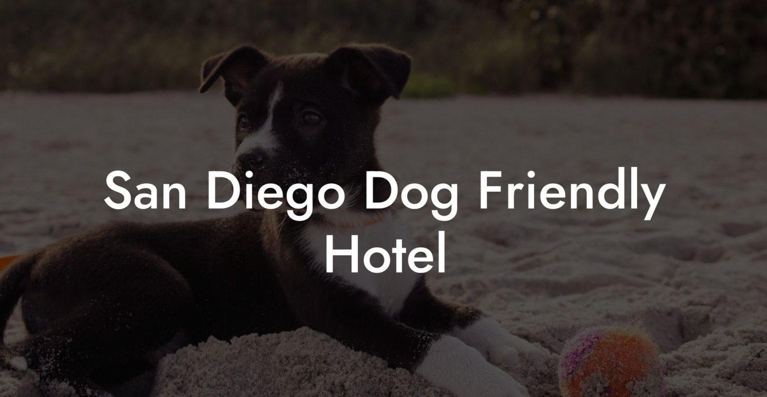 San Diego Dog Friendly Hotel Dog Hotels