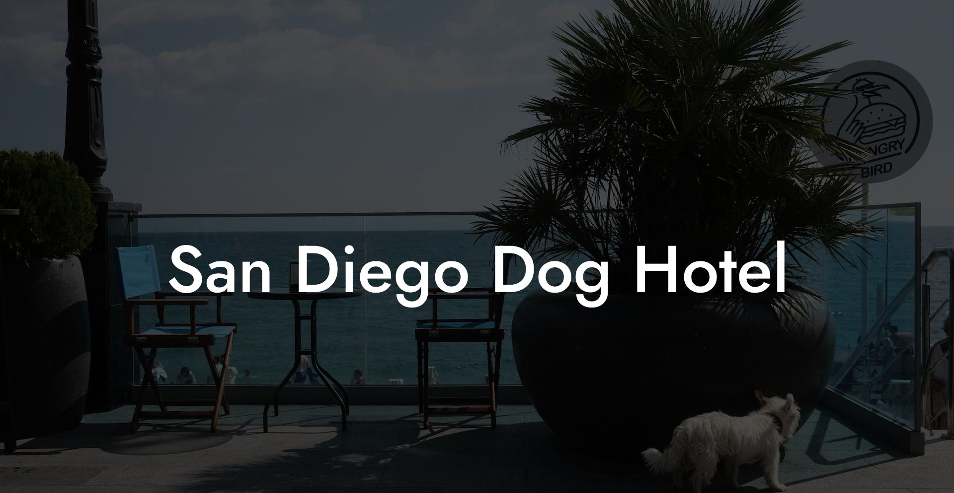 San Diego Dog Hotel