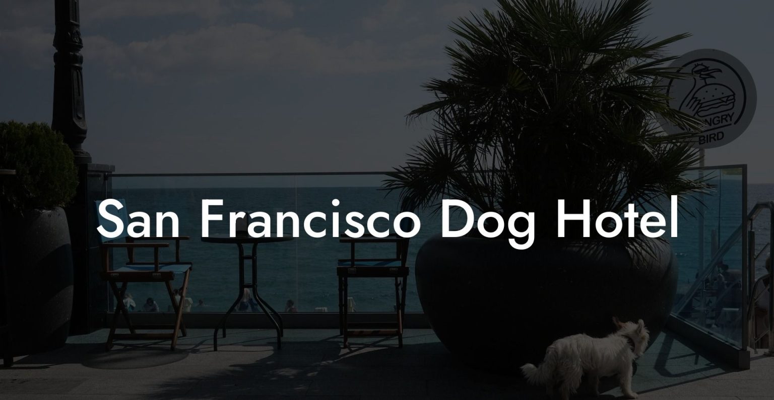 San Francisco Dog Hotel Dog Hotels