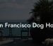San Francisco Dog Hotel
