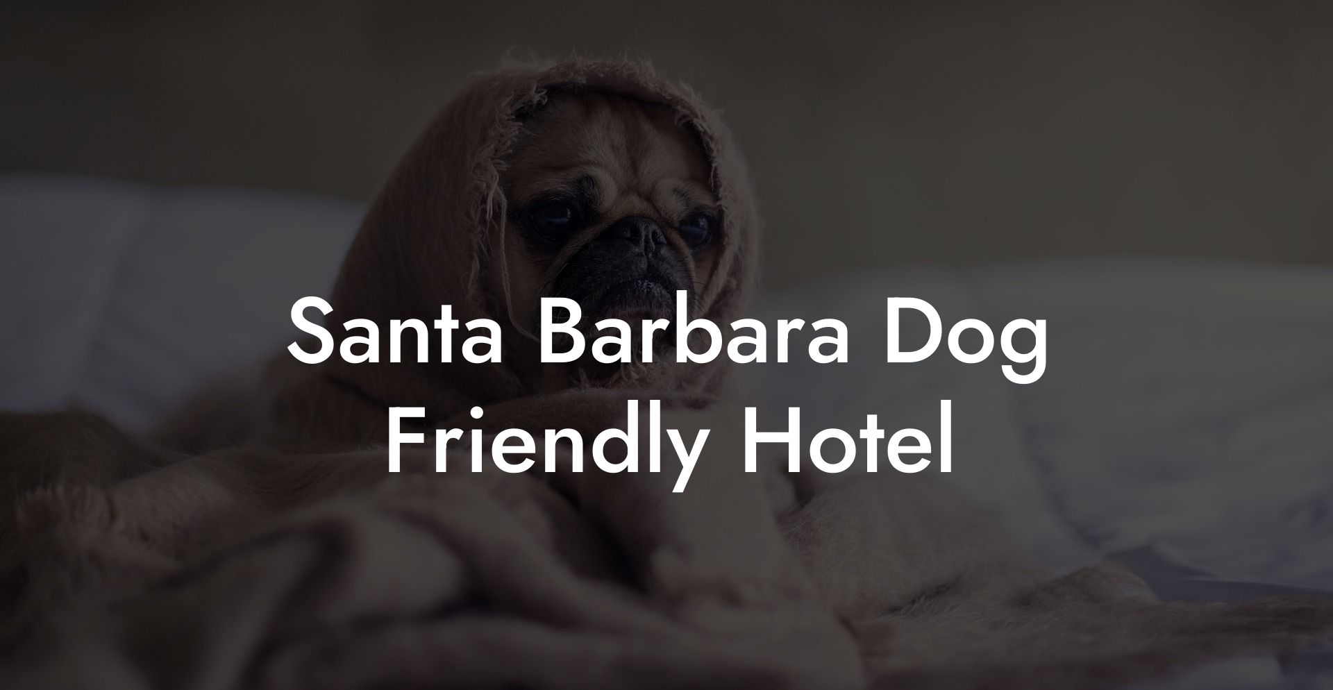 Santa Barbara Dog Friendly Hotel