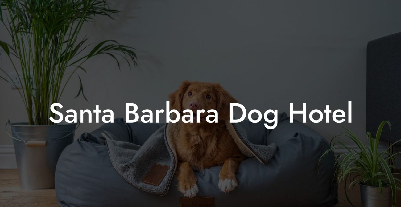 Santa Barbara Dog Hotel