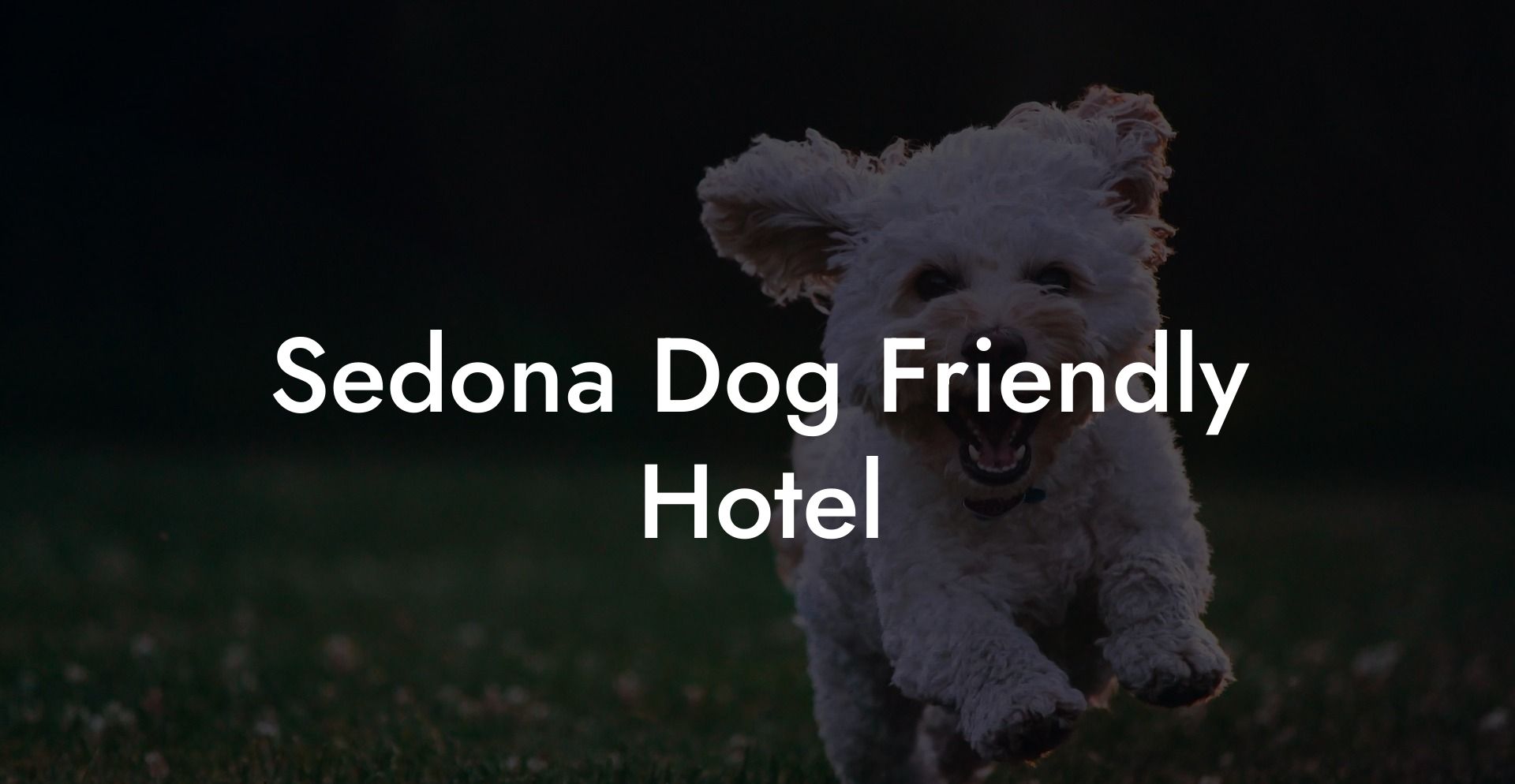 Sedona Dog Friendly Hotel