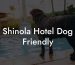 Shinola Hotel Dog Friendly