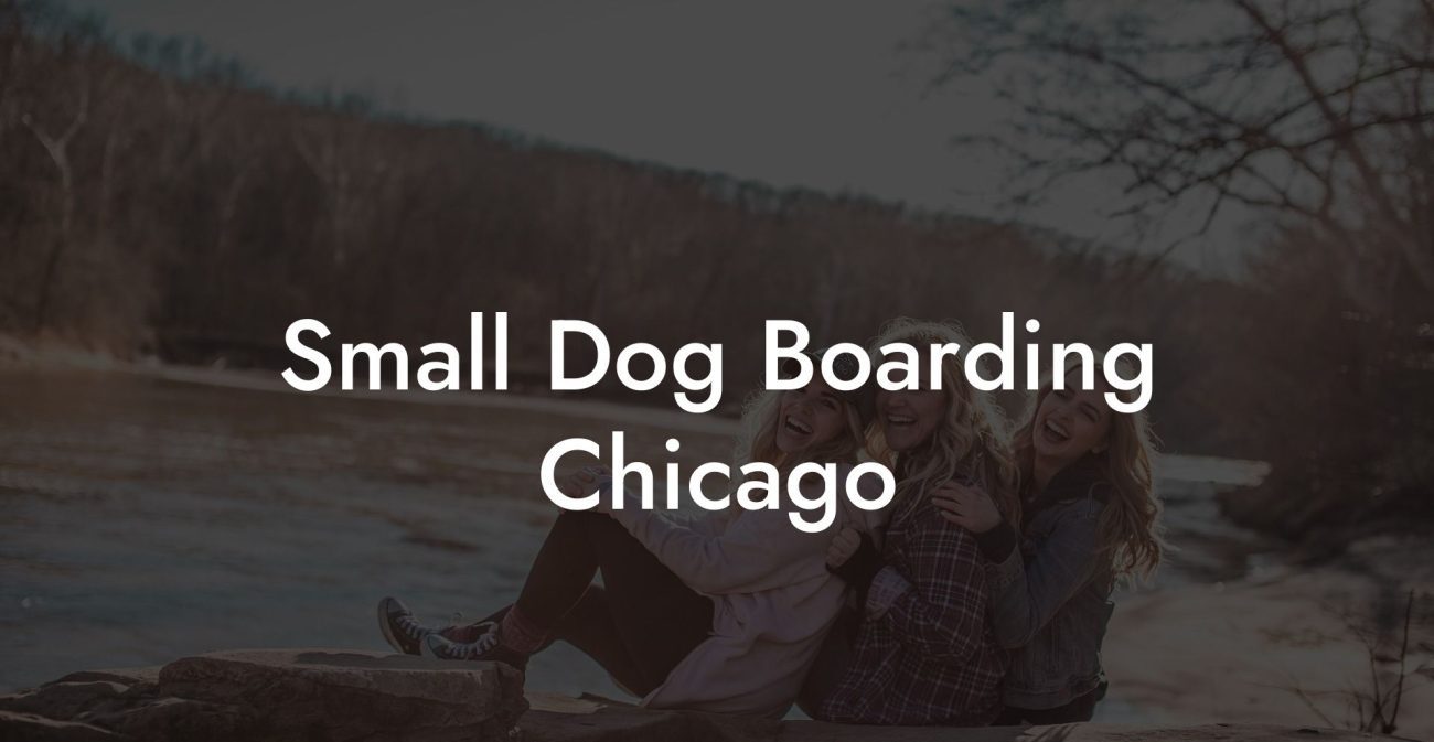 Small Dog Boarding Chicago